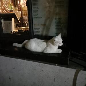 成人国产第一区在线观看
